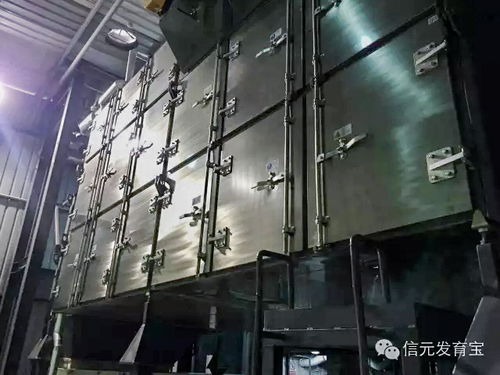 上海信元寵食工廠實(shí)力揭幕 網(wǎng)絡(luò)工程背后的秘密